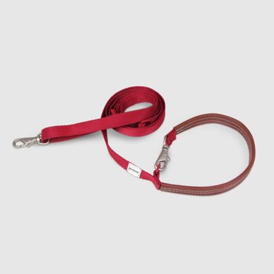 ＜ＳＰＵＴＮＩＫ＞Ｌｅａｓｈ（Ｒｅｄ）