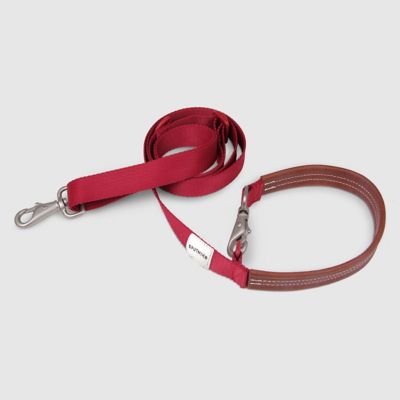 ＜ＳＰＵＴＮＩＫ＞Ｌｅａｓｈ（Ｒｅｄ）
