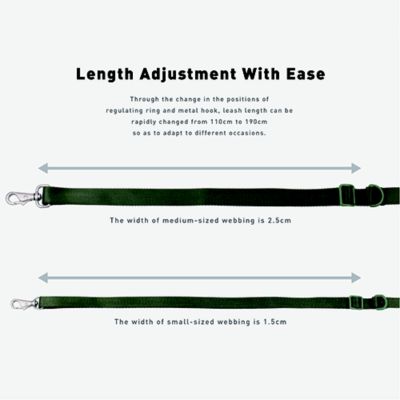 ＜ＳＰＵＴＮＩＫ＞Ｌｅａｓｈ（Ｇｒｅｅｎ）