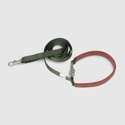 ＜ＳＰＵＴＮＩＫ＞Ｌｅａｓｈ（Ｇｒｅｅｎ）