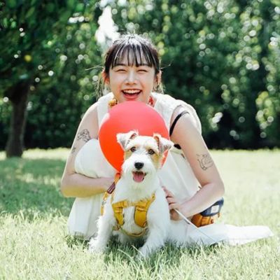 ＜ＳＰＵＴＮＩＫ＞Ｈａｒｎｅｓｓ（Ｙｅｌｌｏｗ）
