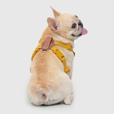 ＜ＳＰＵＴＮＩＫ＞Ｈａｒｎｅｓｓ（Ｙｅｌｌｏｗ）