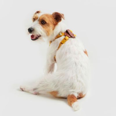 ＜ＳＰＵＴＮＩＫ＞Ｈａｒｎｅｓｓ（Ｙｅｌｌｏｗ）