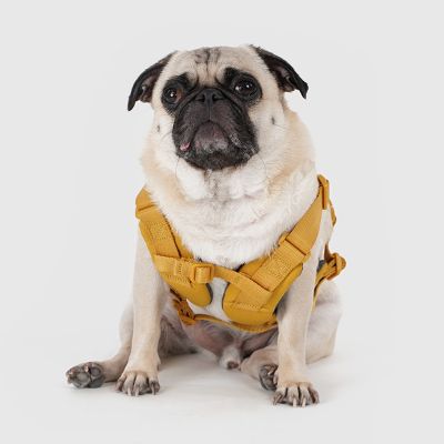 ＜ＳＰＵＴＮＩＫ＞Ｈａｒｎｅｓｓ（Ｙｅｌｌｏｗ）