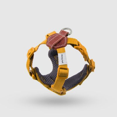 ＜ＳＰＵＴＮＩＫ＞Ｈａｒｎｅｓｓ（Ｙｅｌｌｏｗ）