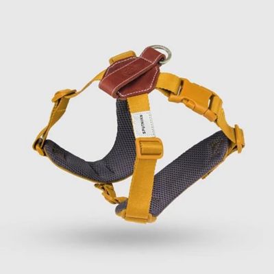 ＜ＳＰＵＴＮＩＫ＞Ｈａｒｎｅｓｓ（Ｙｅｌｌｏｗ）