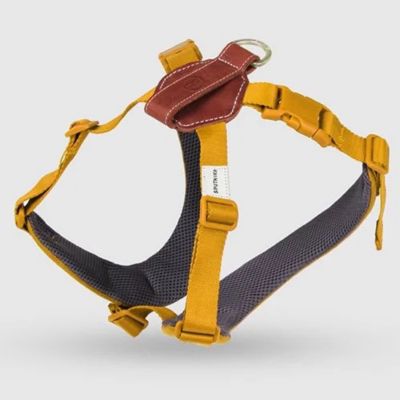 ＜ＳＰＵＴＮＩＫ＞Ｈａｒｎｅｓｓ（Ｙｅｌｌｏｗ）