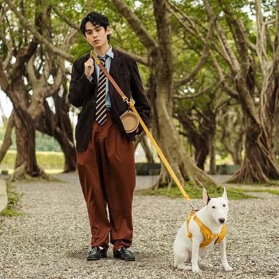 ＜ＳＰＵＴＮＩＫ＞Ｌｅａｓｈ（Ｙｅｌｌｏｗ）