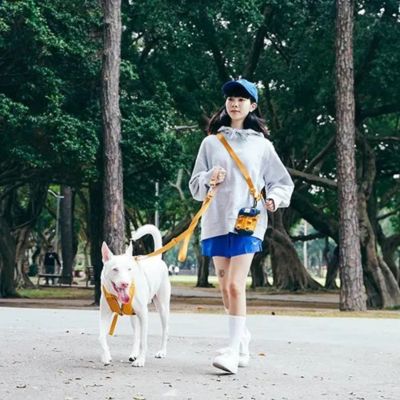 ＜ＳＰＵＴＮＩＫ＞Ｌｅａｓｈ（Ｙｅｌｌｏｗ）