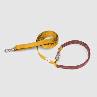＜ＳＰＵＴＮＩＫ＞Ｌｅａｓｈ（Ｙｅｌｌｏｗ）
