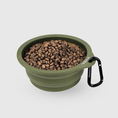 ＜ＳＰＵＴＮＩＫ＞Ｃｏｌｌａｐｓｉｂｌｅ　Ｂｏｗｌ