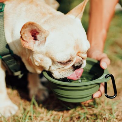 ＜ＳＰＵＴＮＩＫ＞Ｃｏｌｌａｐｓｉｂｌｅ　Ｂｏｗｌ