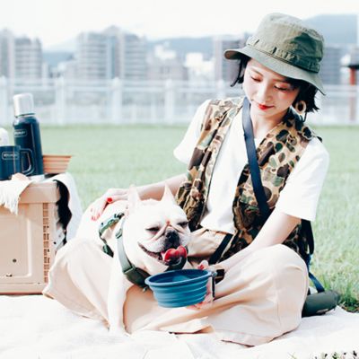 ＜ＳＰＵＴＮＩＫ＞Ｃｏｌｌａｐｓｉｂｌｅ　Ｂｏｗｌ