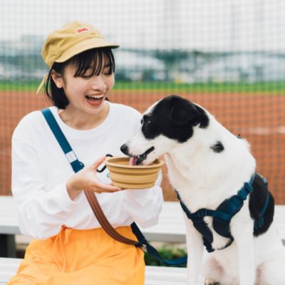 ＜ＳＰＵＴＮＩＫ＞Ｃｏｌｌａｐｓｉｂｌｅ　Ｂｏｗｌ