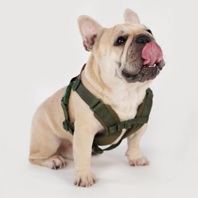 ＜ＳＰＵＴＮＩＫ＞Ｈａｒｎｅｓｓ（Ｇｒｅｅｎ）