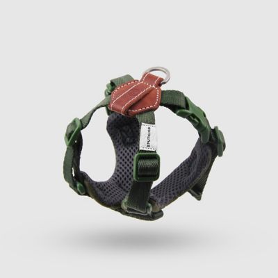 ＜ＳＰＵＴＮＩＫ＞Ｈａｒｎｅｓｓ（Ｇｒｅｅｎ）