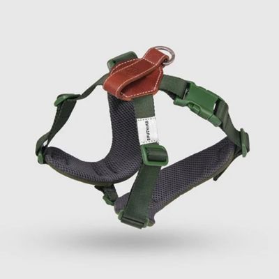 ＜ＳＰＵＴＮＩＫ＞Ｈａｒｎｅｓｓ（Ｇｒｅｅｎ）