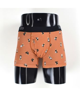 ボクサーパンツ 前開き ホワイトテリア＆ドット