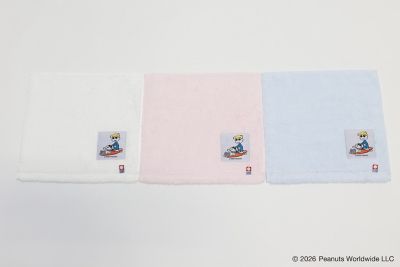 カリスマタレントぺえさんプロデュース　アセッテナイ？ ミニタオル付き ミニタオル（サーフィン） | nishikawa/ニシカワ | 三越伊勢丹
