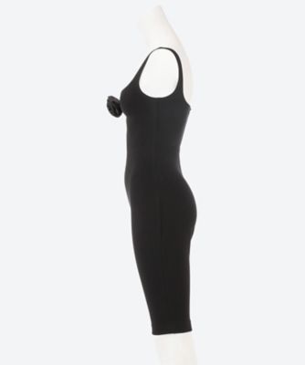 ｒｏｓｅ　ｌｅｏｔａｒｄ
