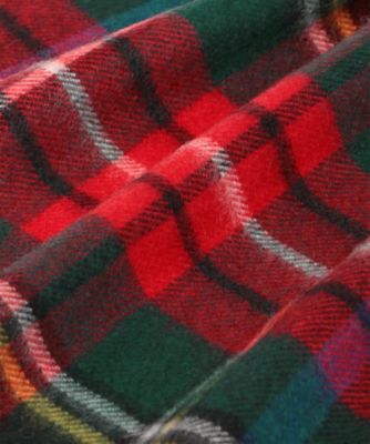 ＪＳ　Ｌ５３００１　ＴＡＲＴＡＮ　ＷＩＤＥ　ＳＣ／６７７５３００１