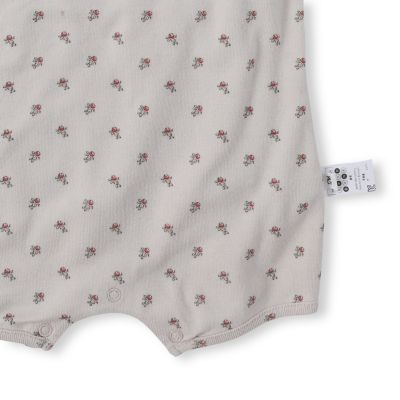 Ｂｅｒｒｙｂｅｒｒｙ　Ｎｅｗｂｏｒｎ　Ｒｏｍｐｅｒ