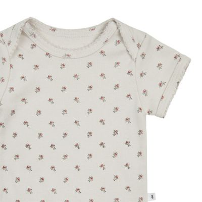 Ｂｅｒｒｙｂｅｒｒｙ　Ｐｉｎｃｏａｔ　Ｓｈｏｒｔ　Ｂ／Ｓ