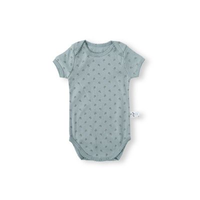 Ｂｅｒｒｙｂｅｒｒｙ　Ｐｉｎｃｏａｔ　Ｓｈｏｒｔ　Ｂ／Ｓ