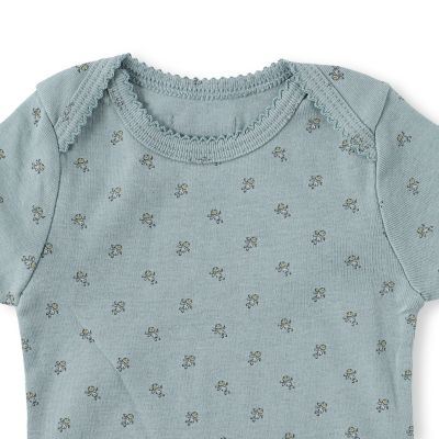 Ｂｅｒｒｙｂｅｒｒｙ　Ｐｉｎｃｏａｔ　Ｓｈｏｒｔ　Ｂ／Ｓ