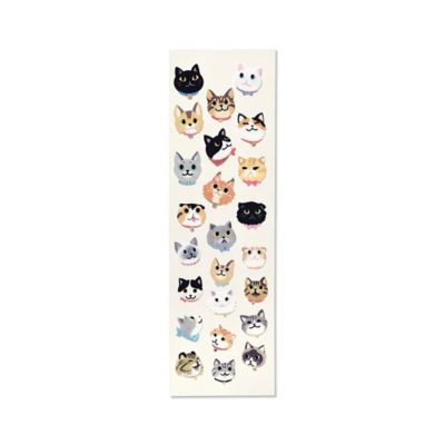 ＢＯＸセット　マイ　キャット