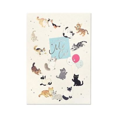 ＢＯＸセット　マイ　キャット