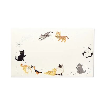 ＢＯＸセット　マイ　キャット