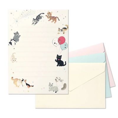 ＢＯＸセット　マイ　キャット