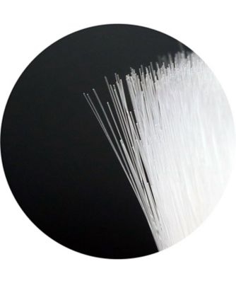 ボタニカルブラシ【シューケア・その他おまとめ】