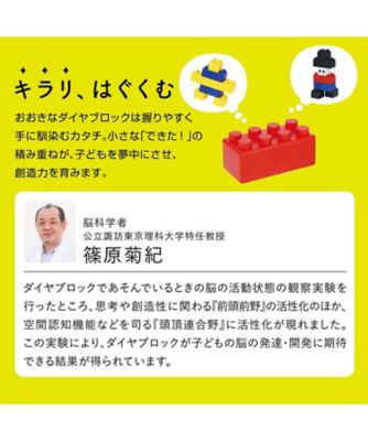 おおきなダイヤブロック はじめてのブロックあそび バケツ | diablock
