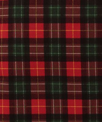 ☆エプロン・マイキータータンチェック | LISA LARSON/リサ・ラーソン