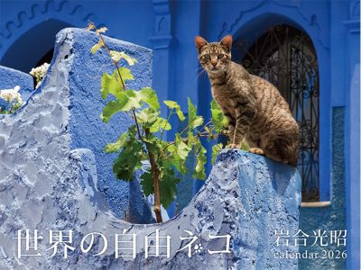 ＜岩合光昭＞【１０月２０日以降、順次発送】２０２６　世界の自由ネコ／岩合光昭