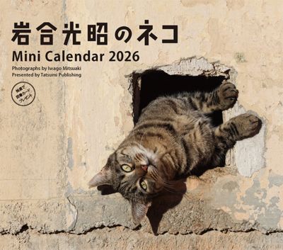 ＜岩合光昭＞【１０月２０日以降、順次発送】２０２６　卓上ミニカレンダー　岩合光昭のネコ