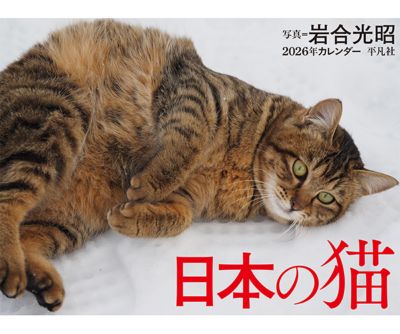 猫清 Amazon | Leefasy S字型猫用爪とぎ 室内猫用 猫用爪とぎボード