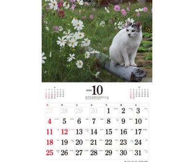 10月20日以降、順次発送】2026 日本の猫／岩合光昭