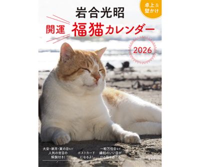 10月20日以降、順次発送】2026 卓上 開運 福猫