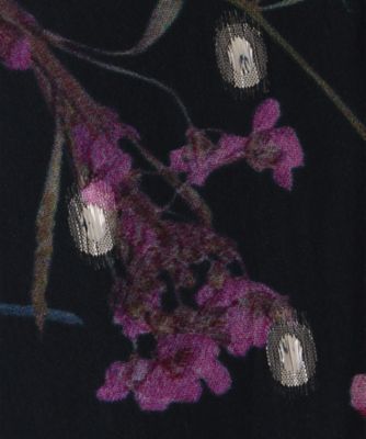 Ａｚａｌｅａ　Ｐｒｉｎｔ　Ｆｉｌ　Ｃｏｕｐｅ　Ｄｒｅｓｓ