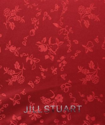 ＪＩＬＬ　ＳＴＵＡＲＴ（ジル　スチュアート）　アンティーク小花＆フルーツジャカード雨傘（長傘）