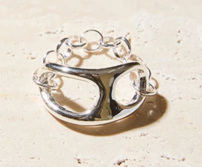 Fibula chain ring（Lsize） 530