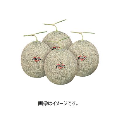 53_20melon_4ko