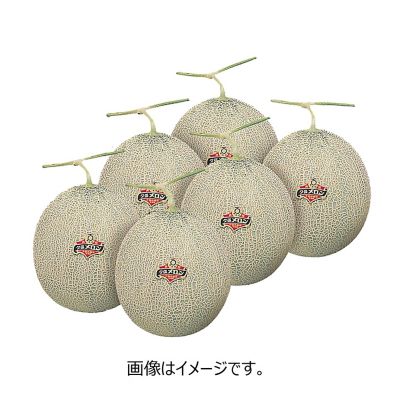 53_20melon_6ko