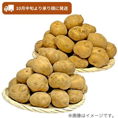 53_2509_mikaku_009-010