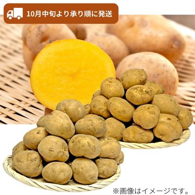 53_2509_mikaku_011