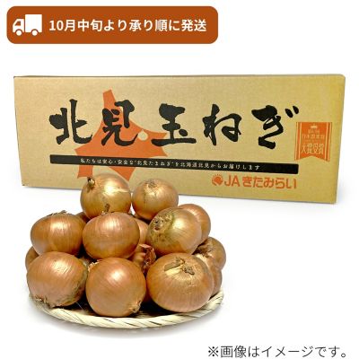 53_2509_mikaku_019