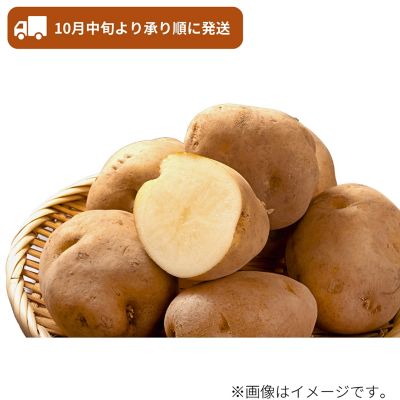 53_2509_mikaku_022